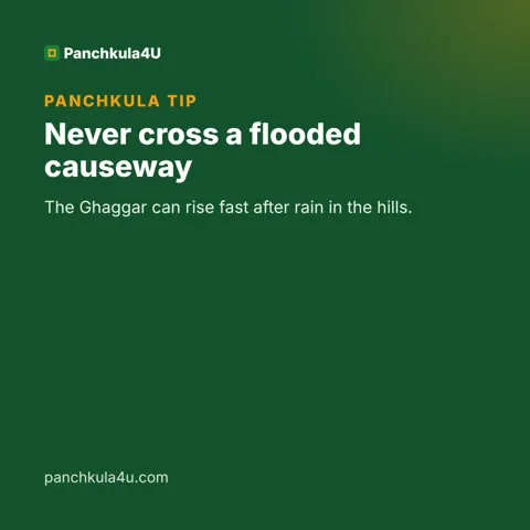 Never cross a flooded causeway